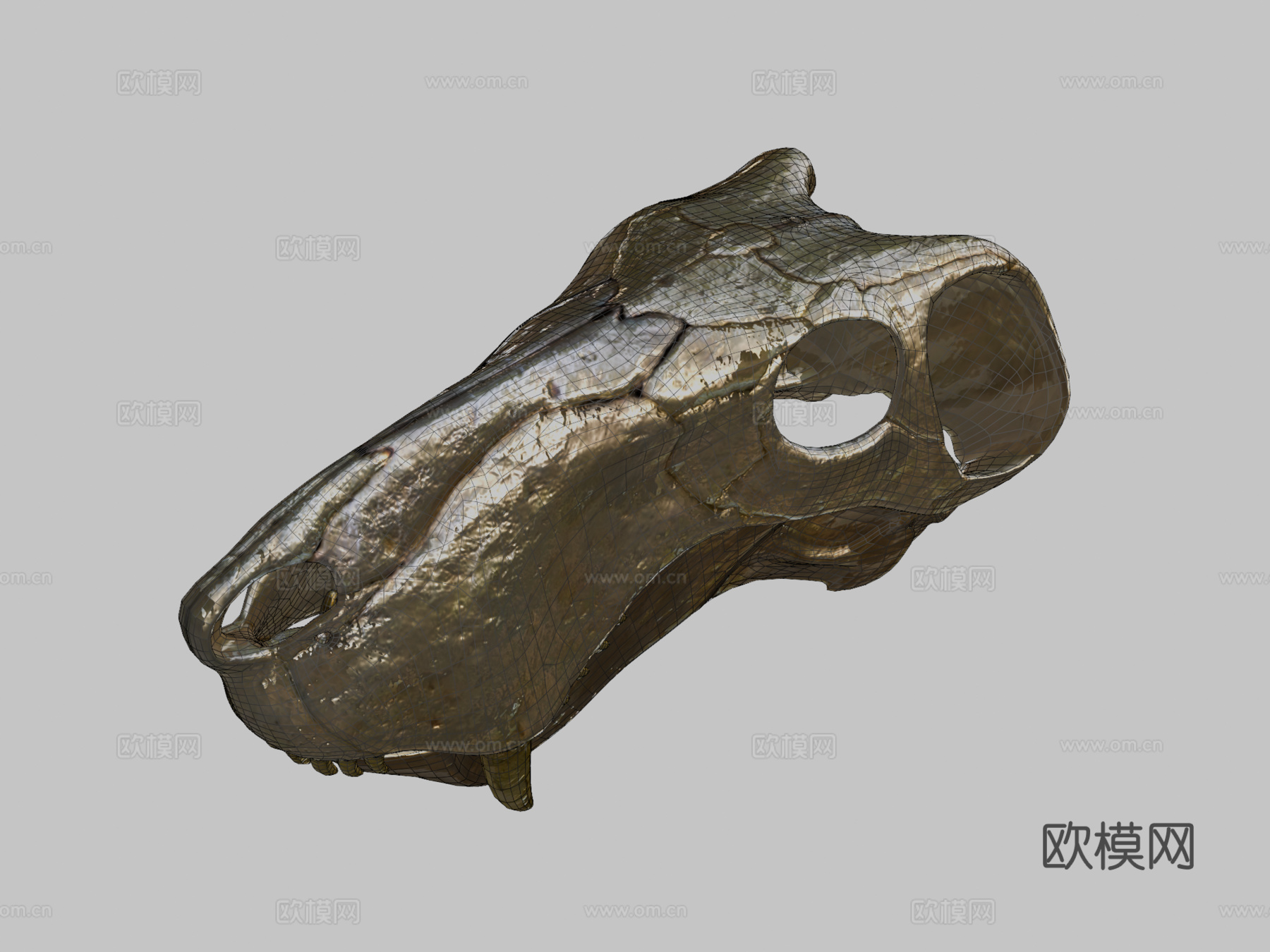 蛇齿龙3d模型