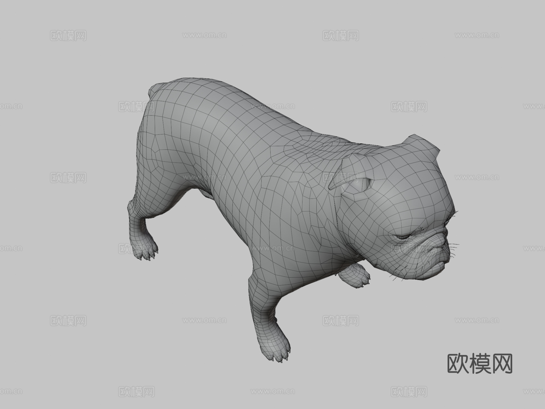 英国斗牛犬3d模型