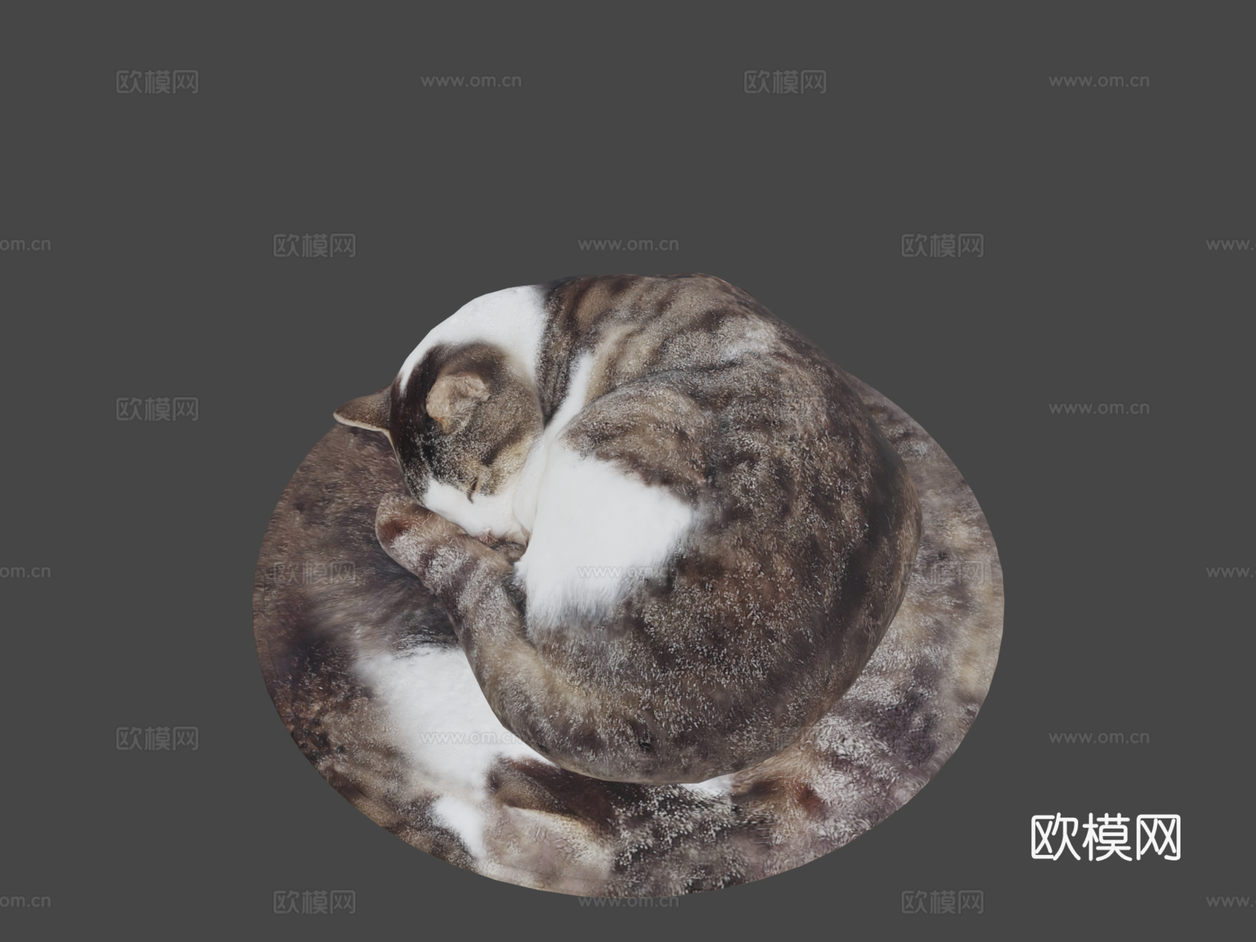 垫子上睡觉的猫3d模型