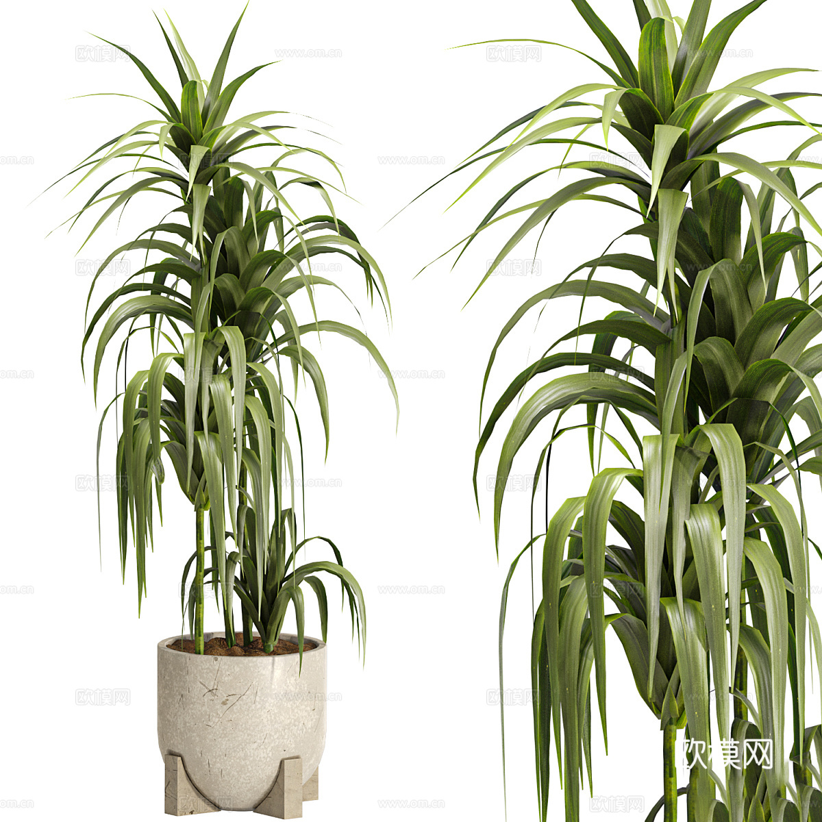 新中式侘寂绿植盆栽3d模型