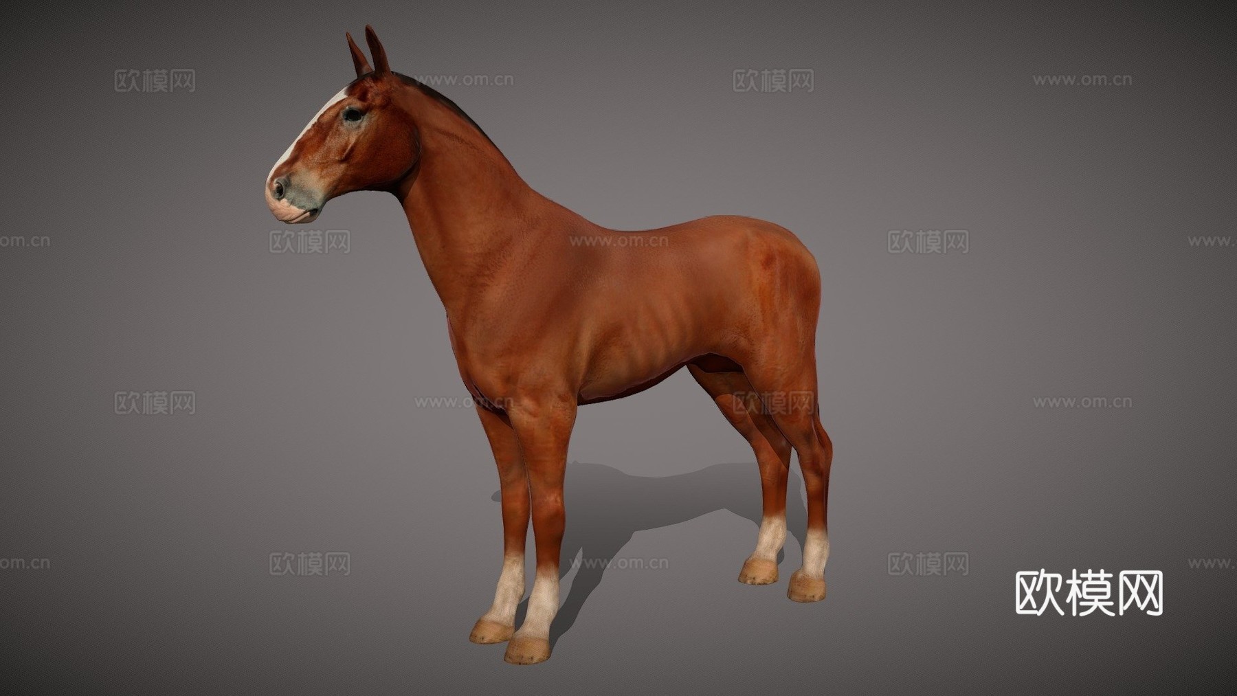 马基础网格3d模型