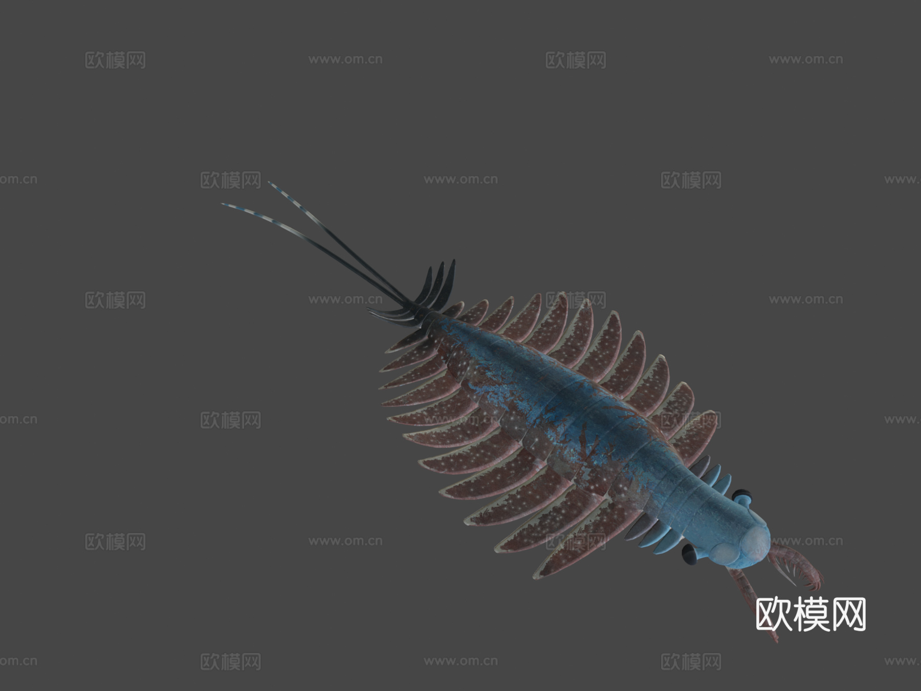 双肢抱怪虫3d模型