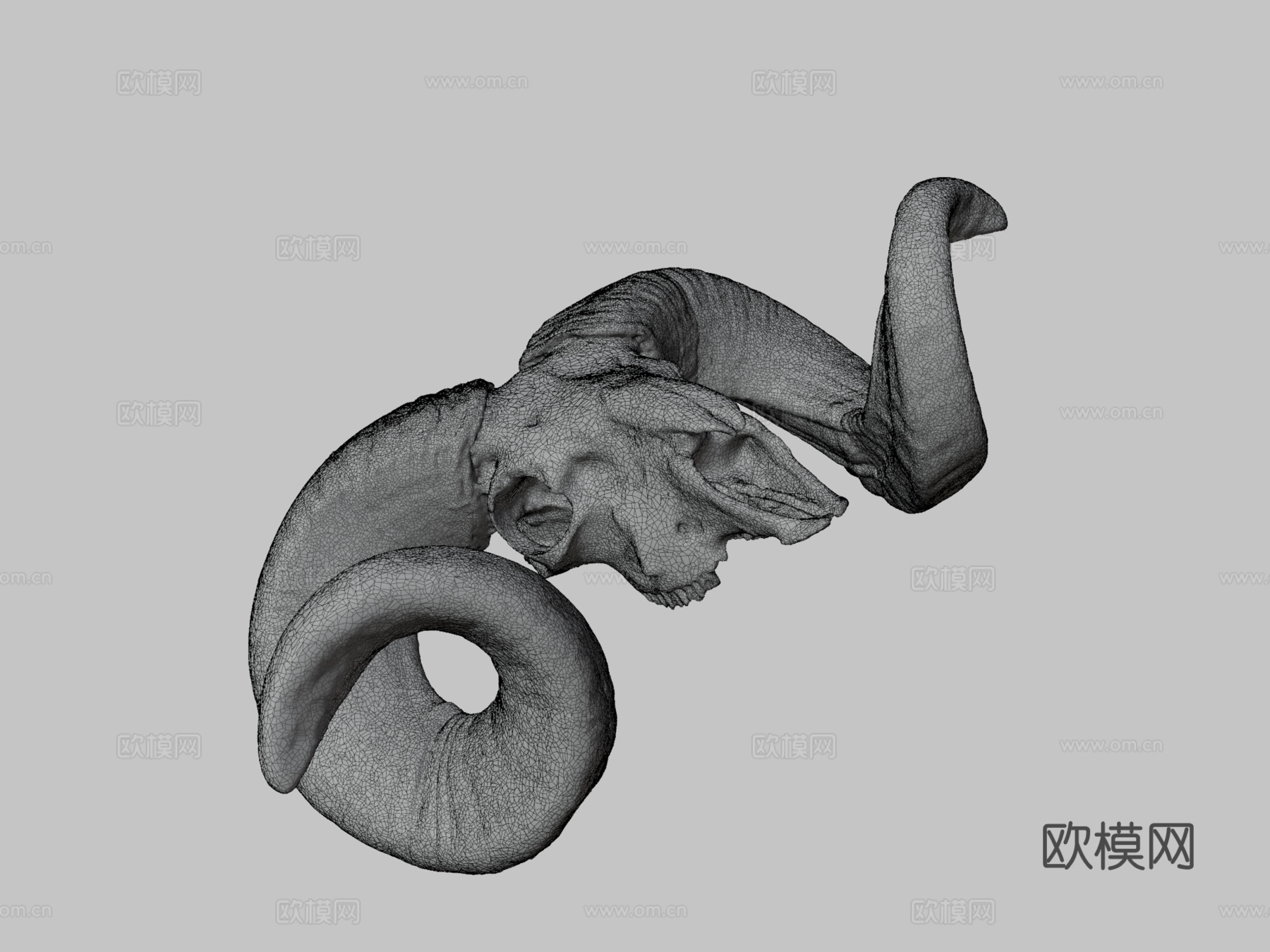 公羊头骨-摄影测量法3d模型