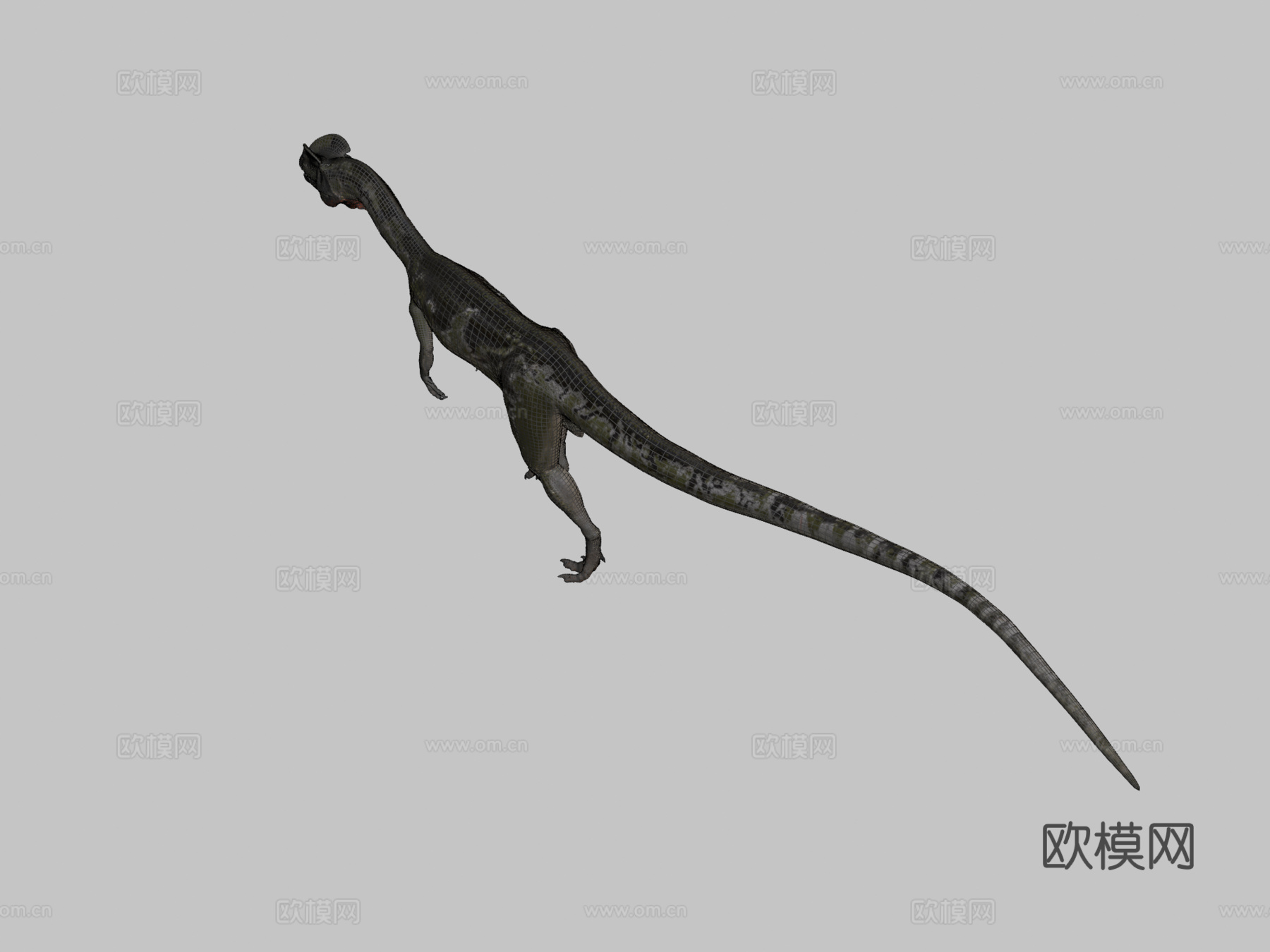 双脊龙3d模型