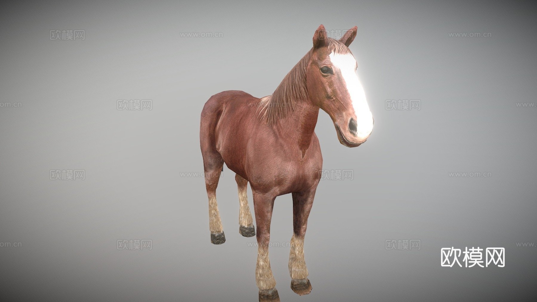 马绑定3d模型