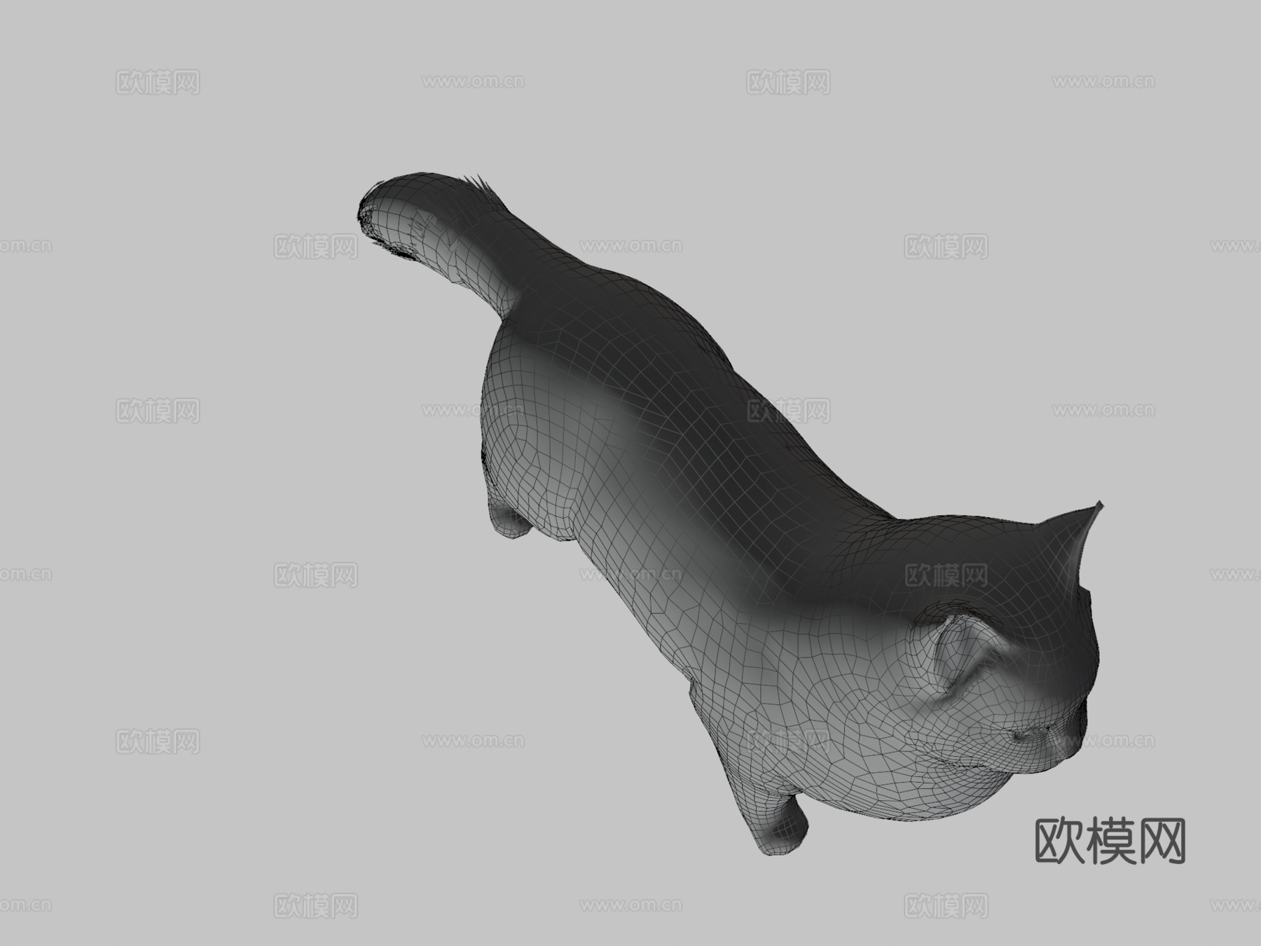 曼基康猫3d模型