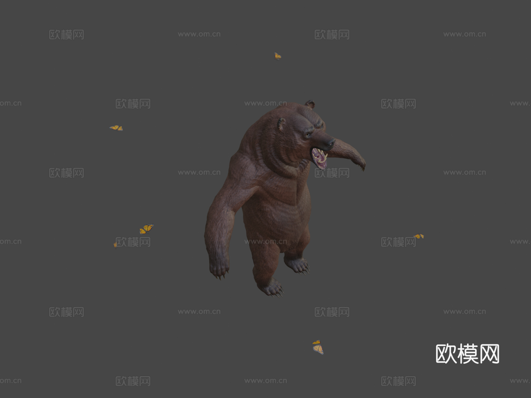 强壮熊3d模型