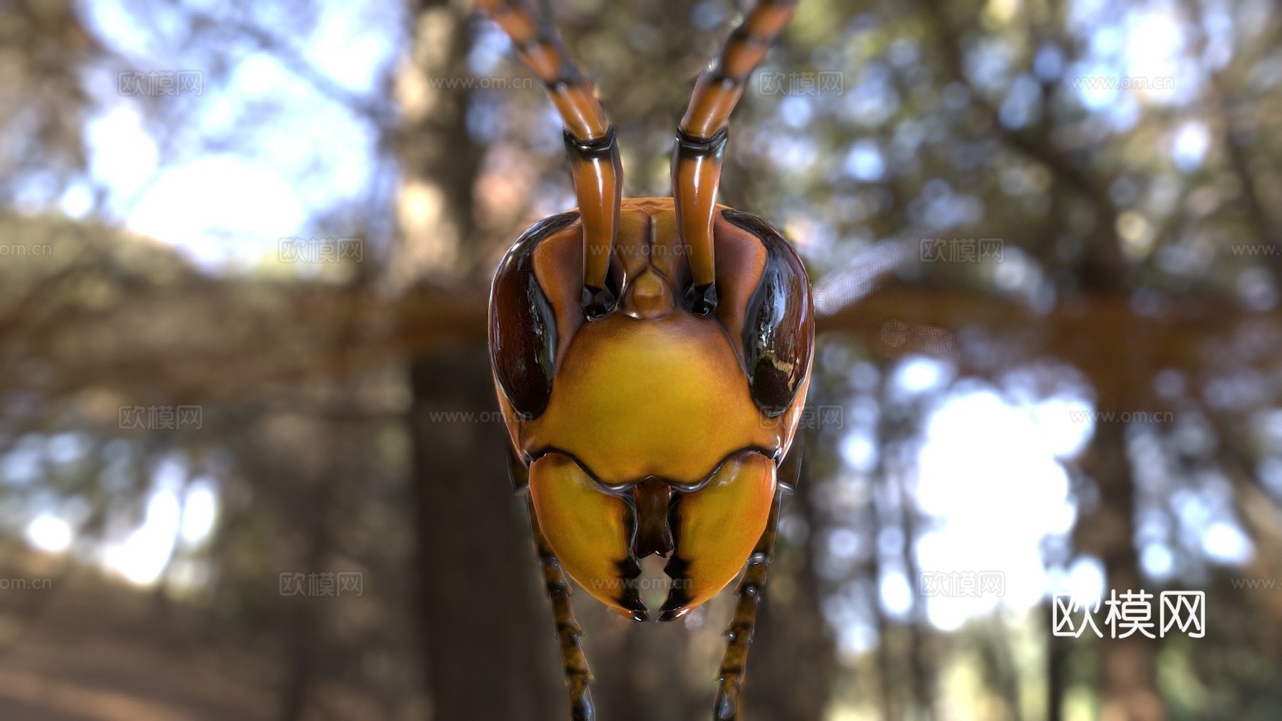 悬浮黄蜂3d模型