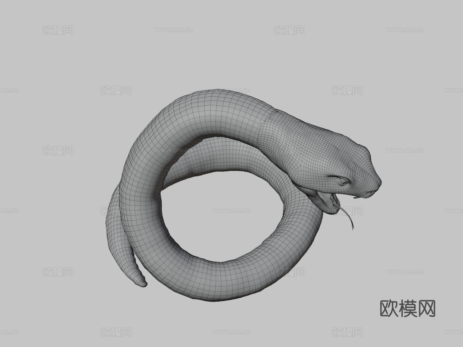 大型绿色攻击性蛇3d模型