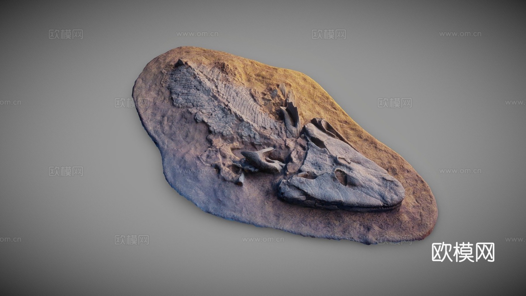 提克塔利克玫瑰3d模型