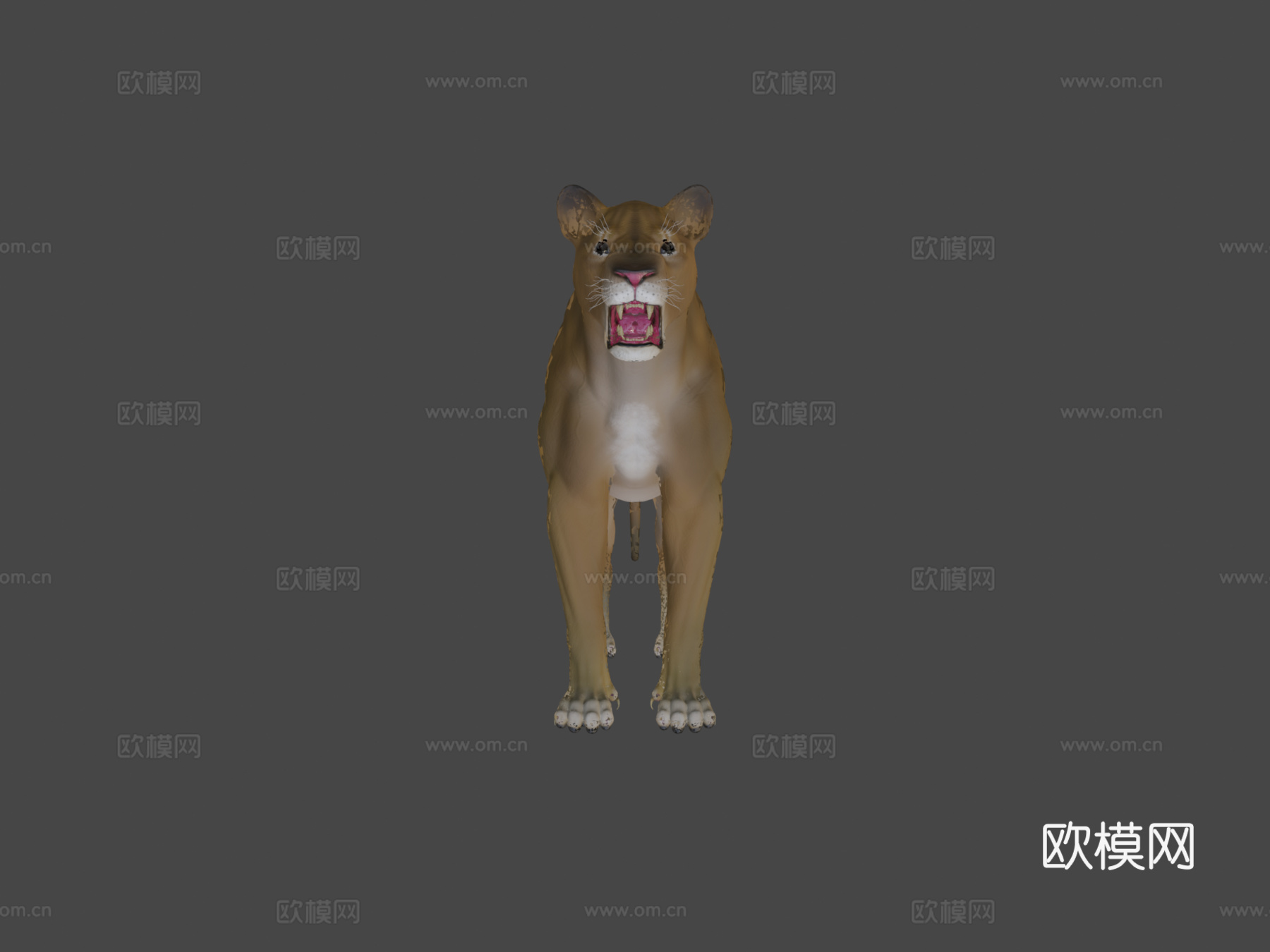 免费强壮母狮-4K3d模型