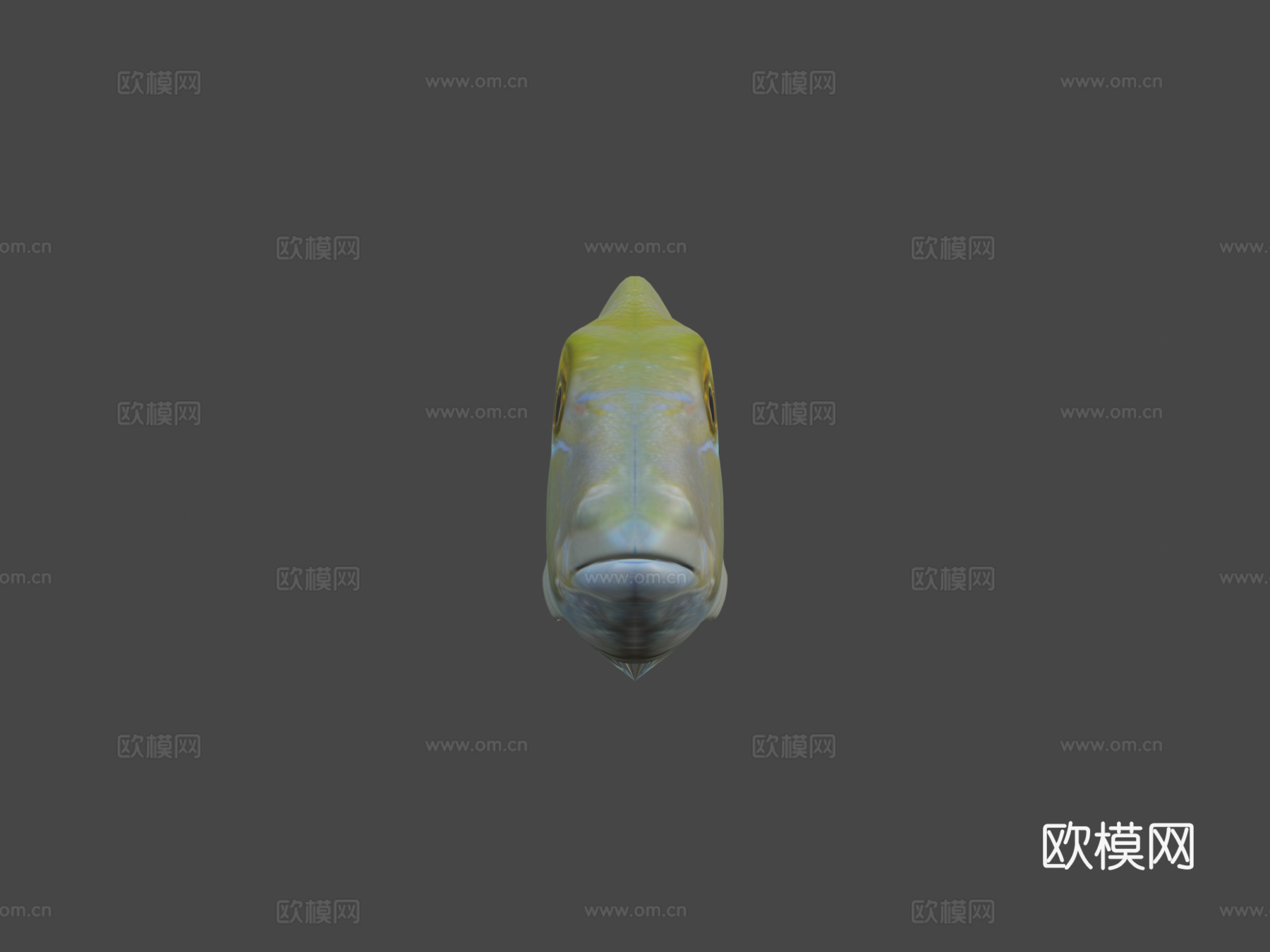 菖蒲菖蒲3d模型