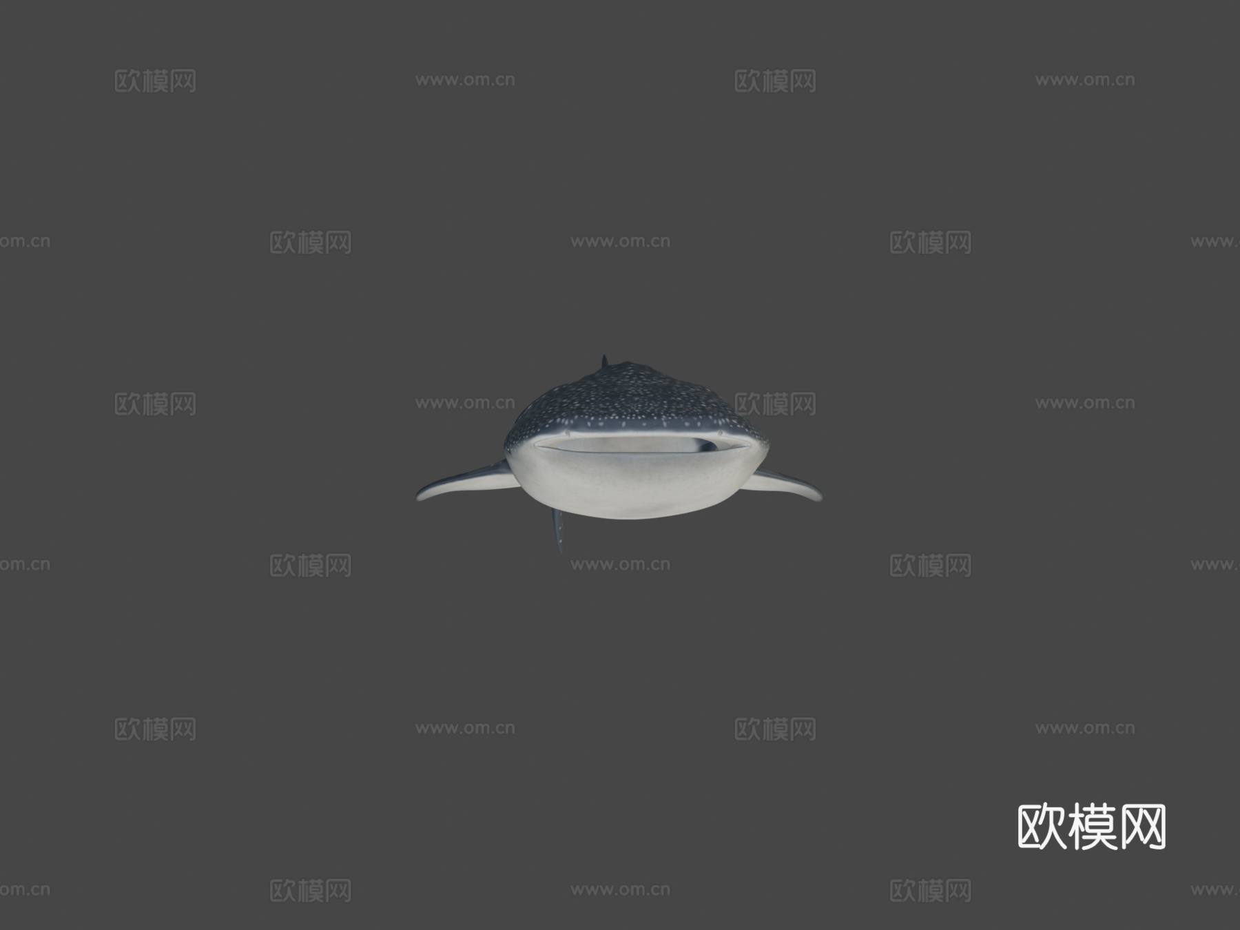 A型-鲸鲨3d模型