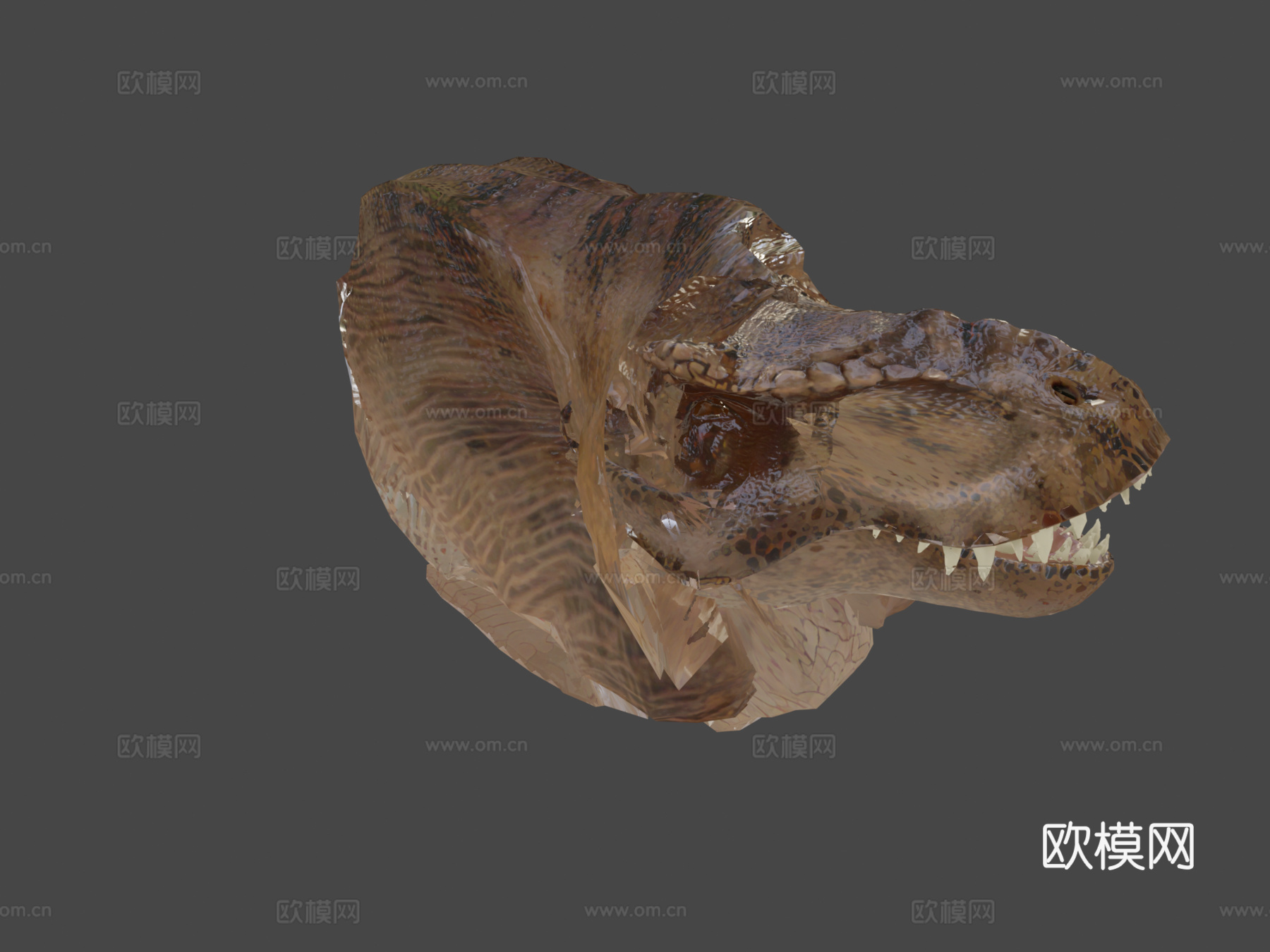 霸王龙骨架(别吃我费里斯摩天轮)3d模型