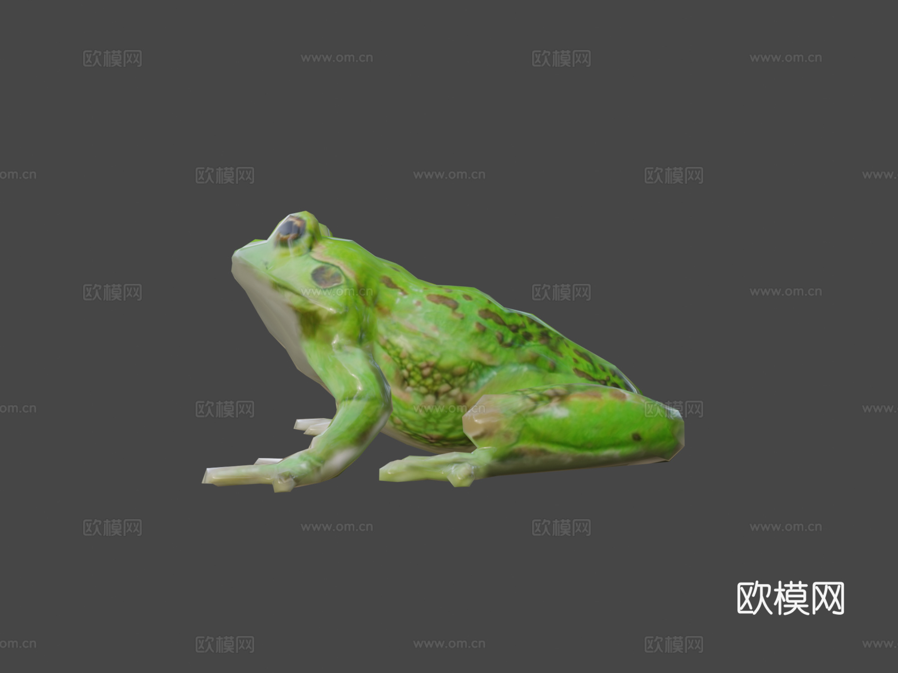 青蛙3d模型