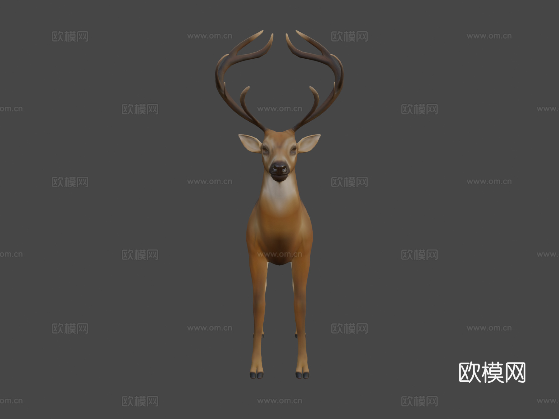 鹿全身3d模型