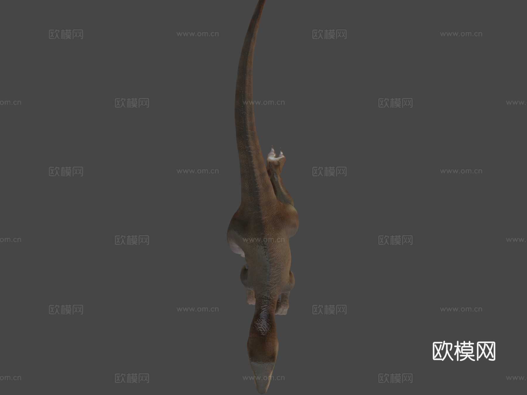迅猛龙3d模型
