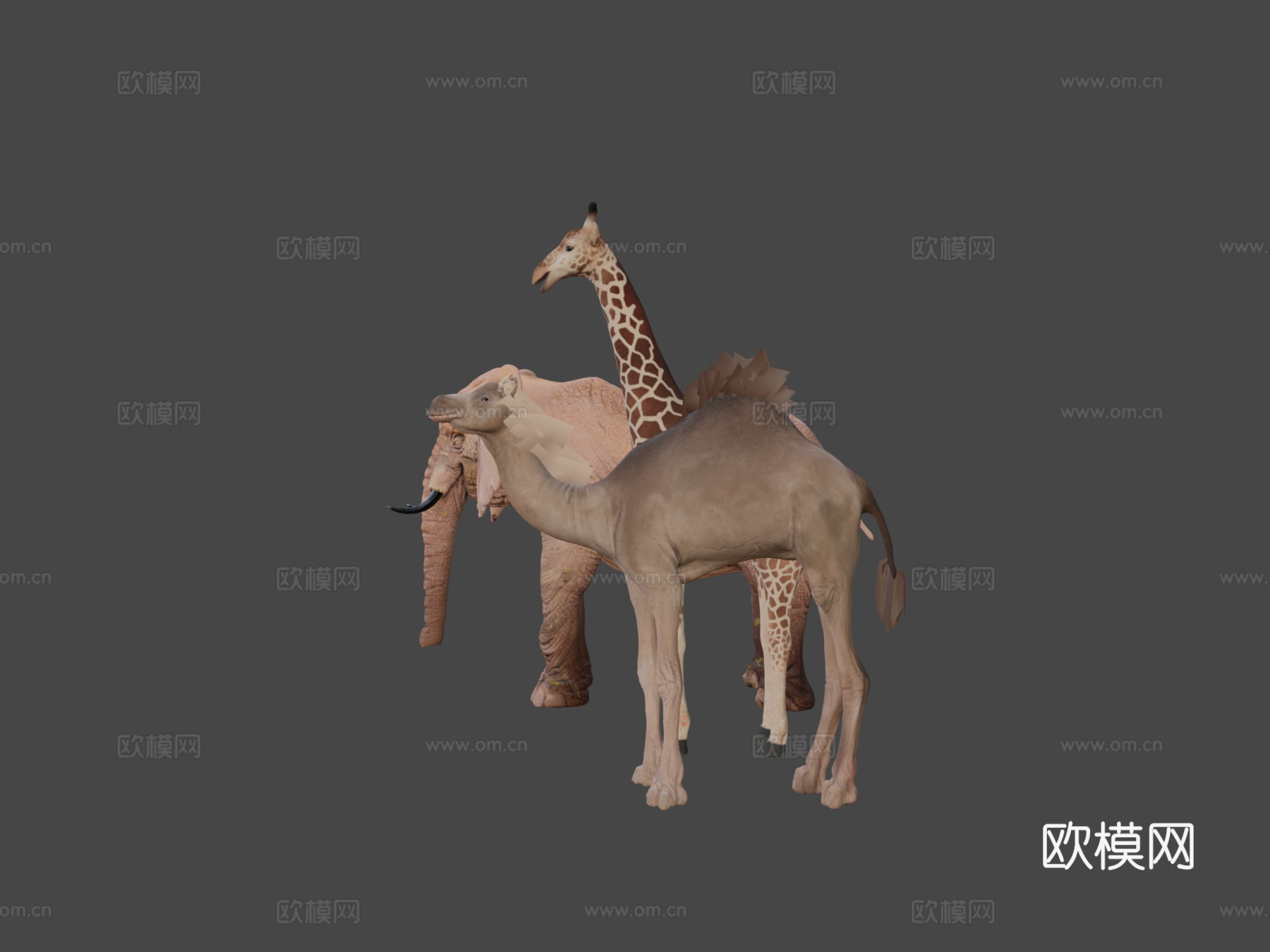 动物包13d模型