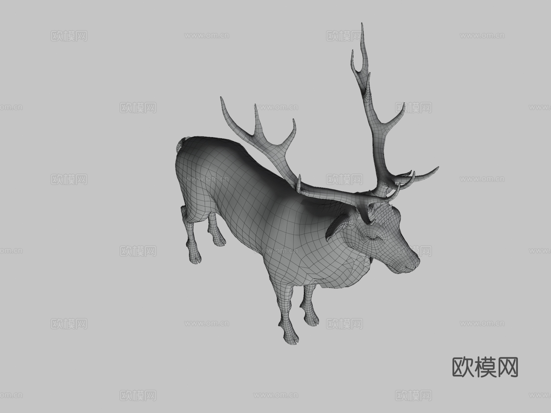 马鹿动画3d模型