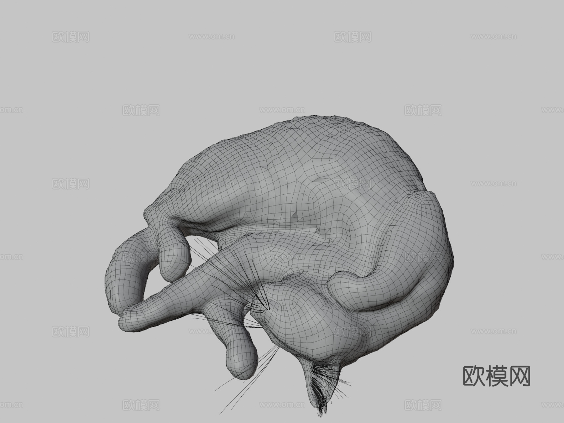 睡猫3d模型