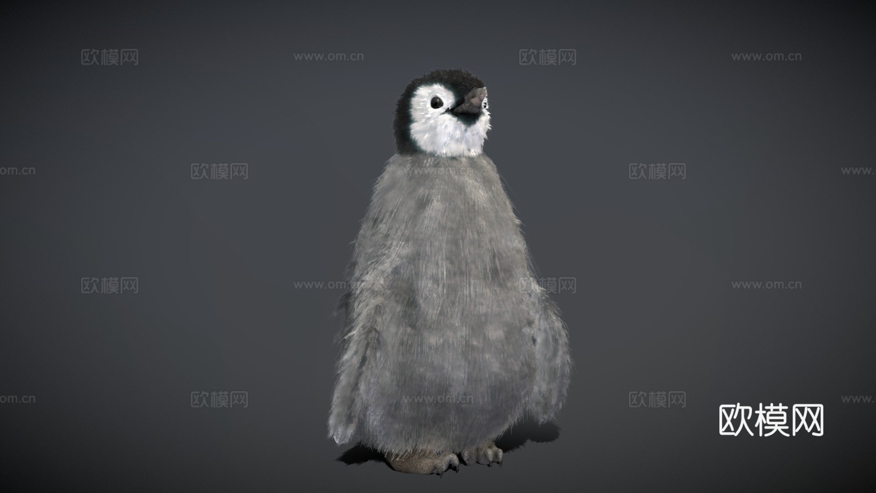 小帝企鹅3d模型