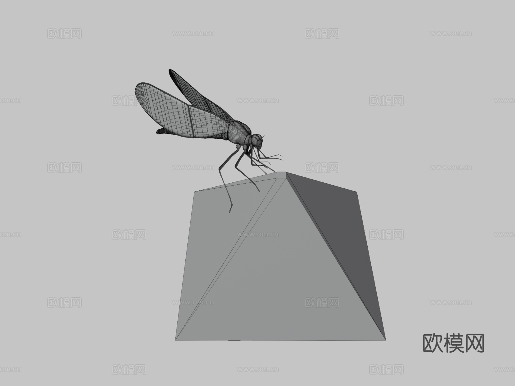 蜻蜓3d模型