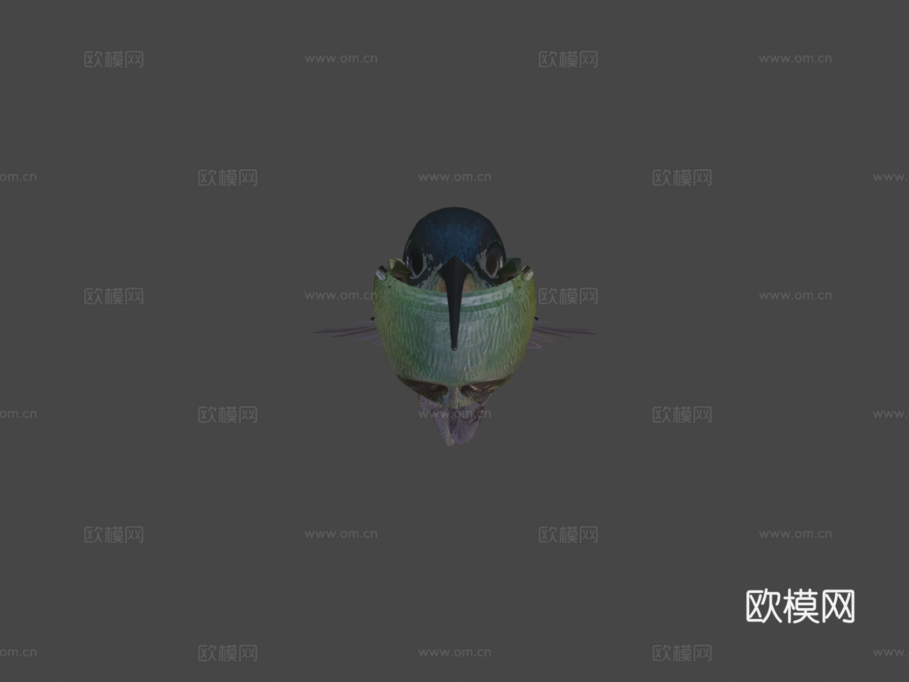 动画悬停飞行蜂鸟循环3d模型