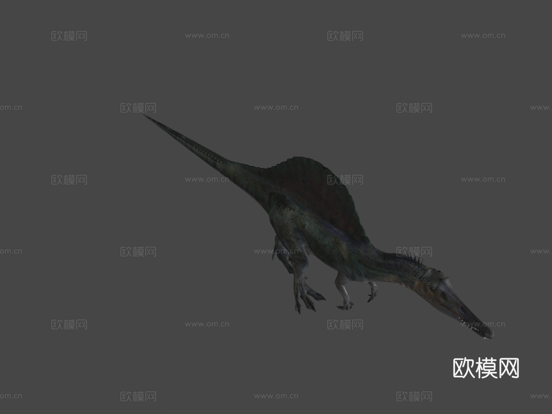 棘龙低多边形3d模型