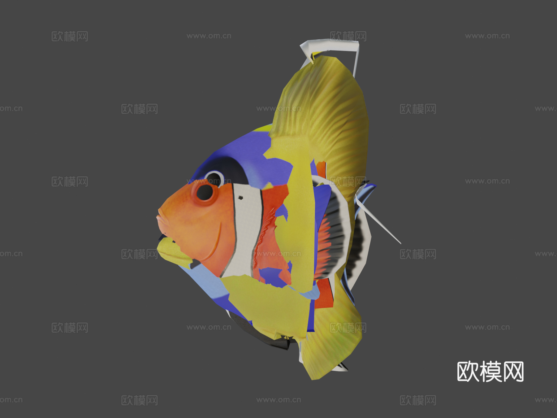 热带鱼群游动动画循环3d模型