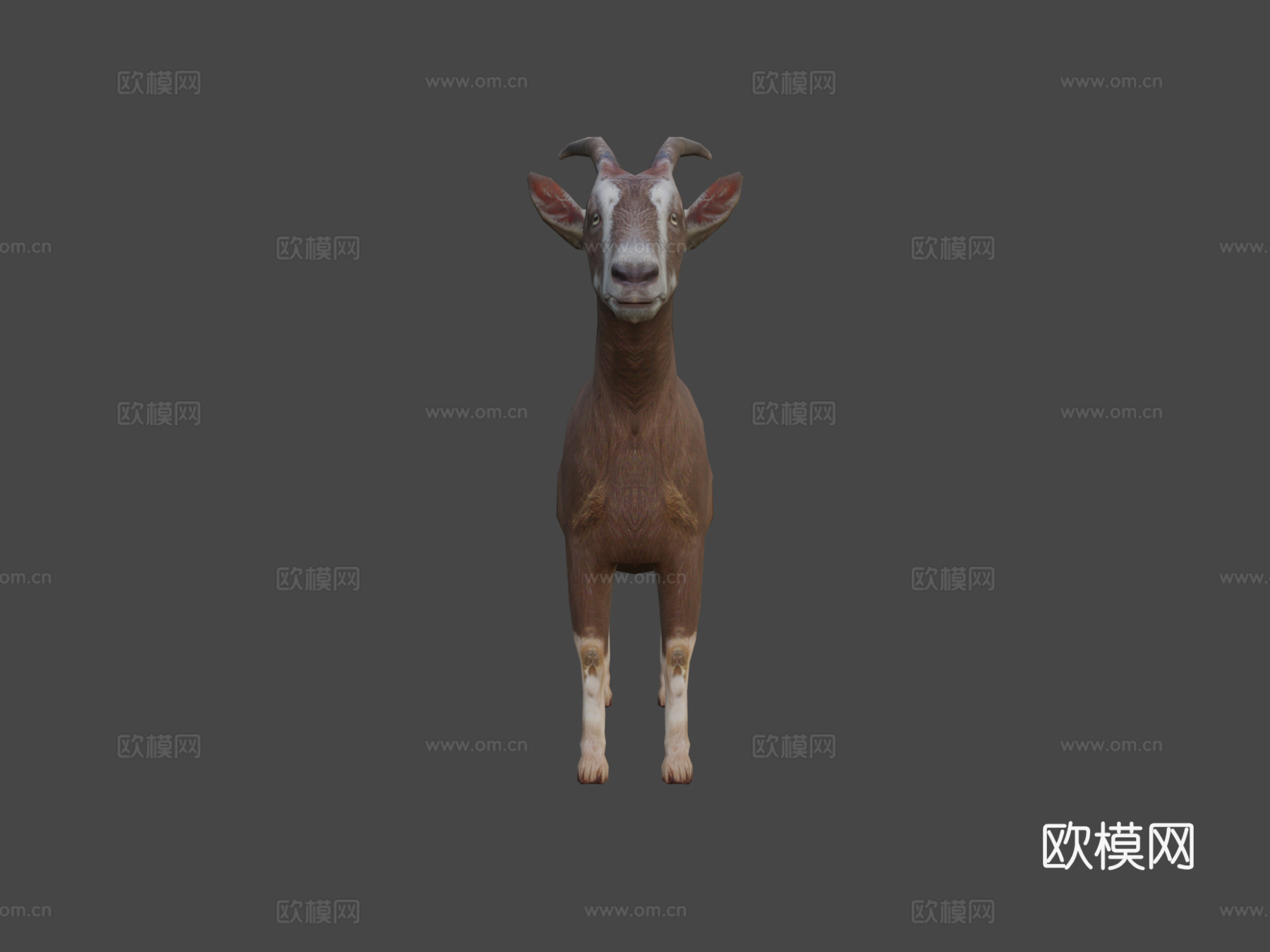 DRT-家畜-山羊3d模型