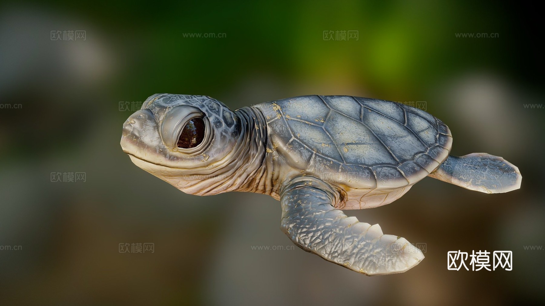 游戏级乌龟3d模型