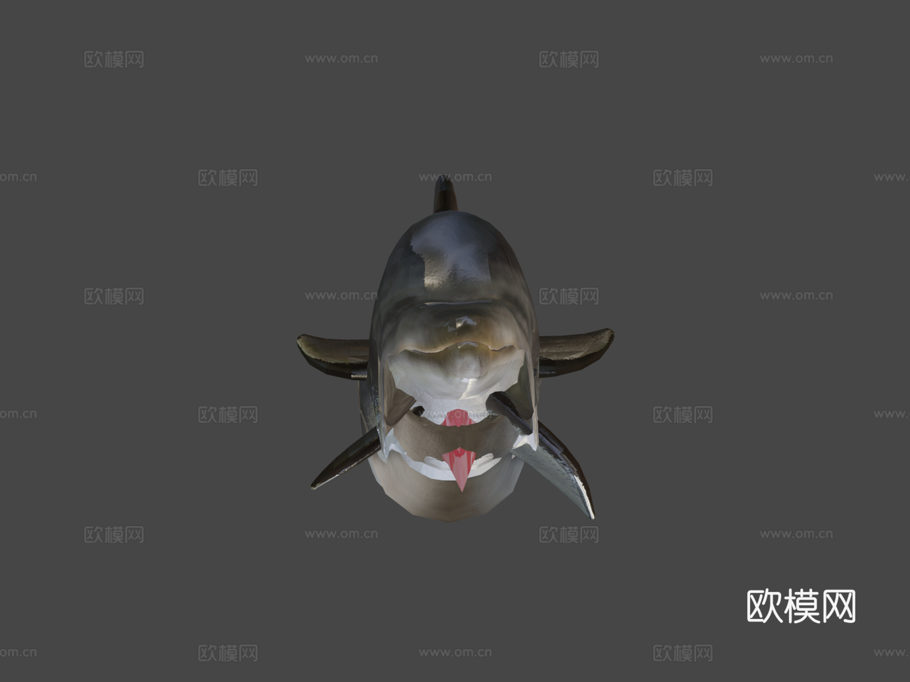 海豚3d模型
