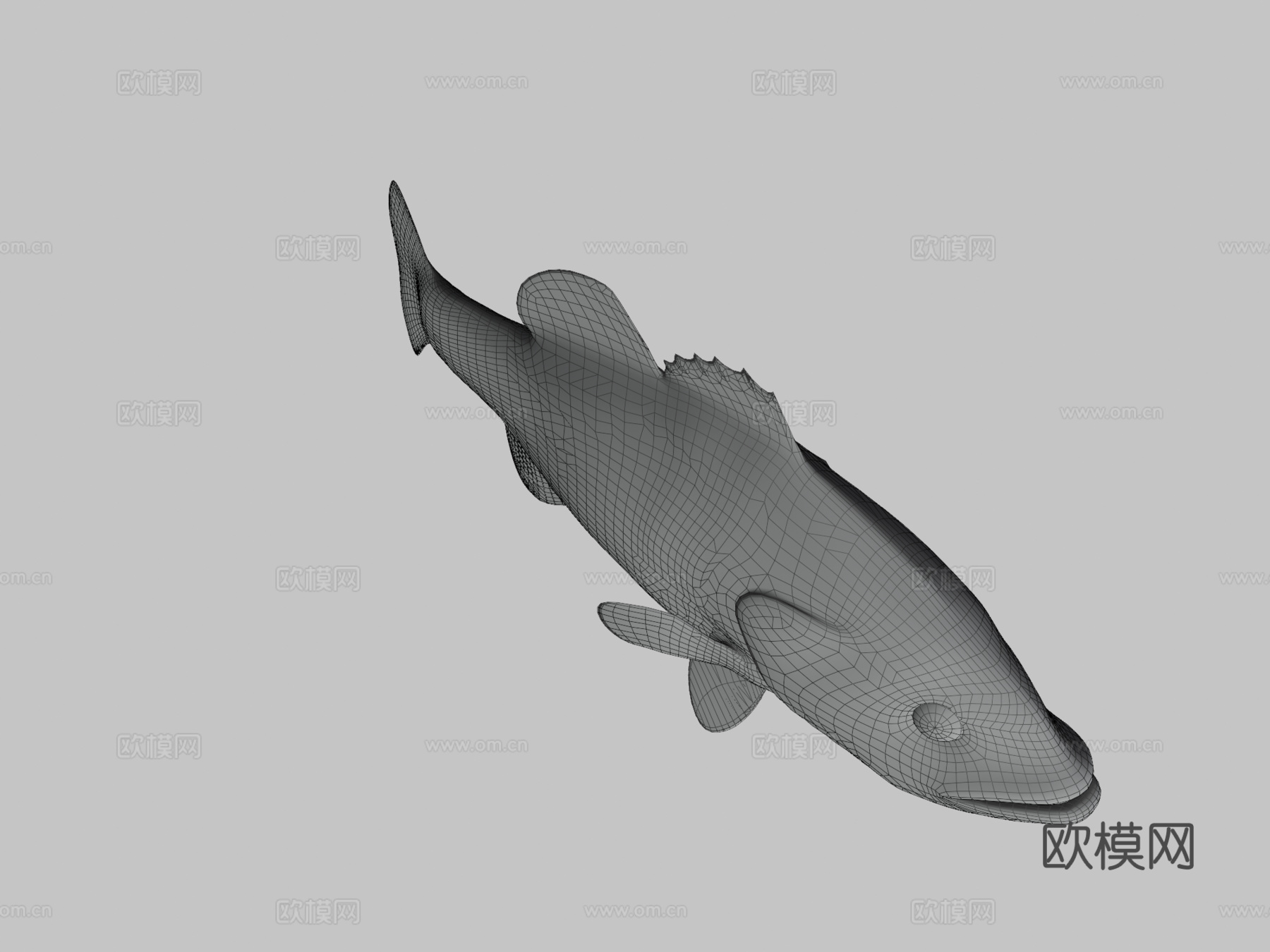 A型-大口黑鲈3d模型
