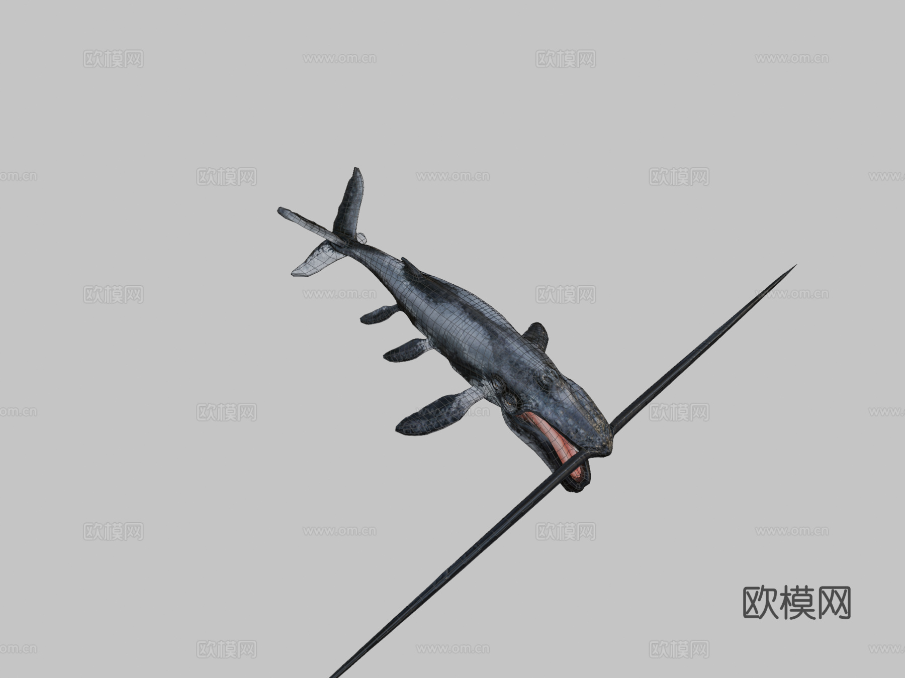 须鲸3d模型