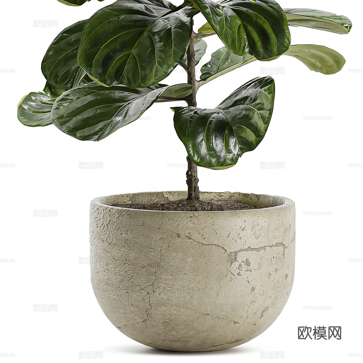 现代侘寂绿植盆栽3d模型