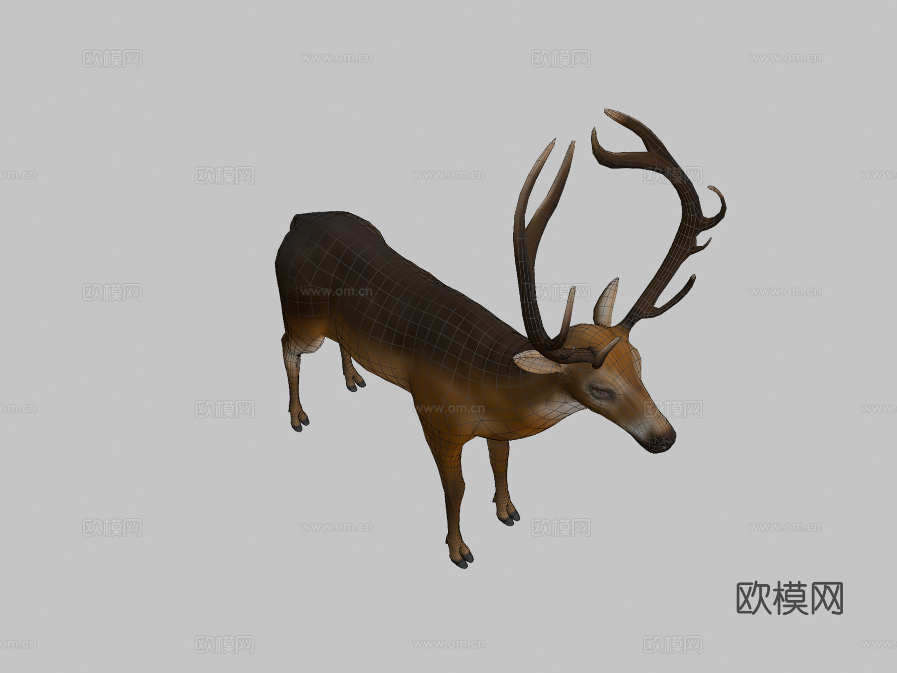 鹿全身3d模型
