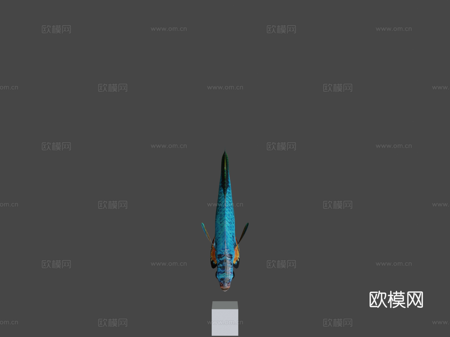 斗鱼3d模型