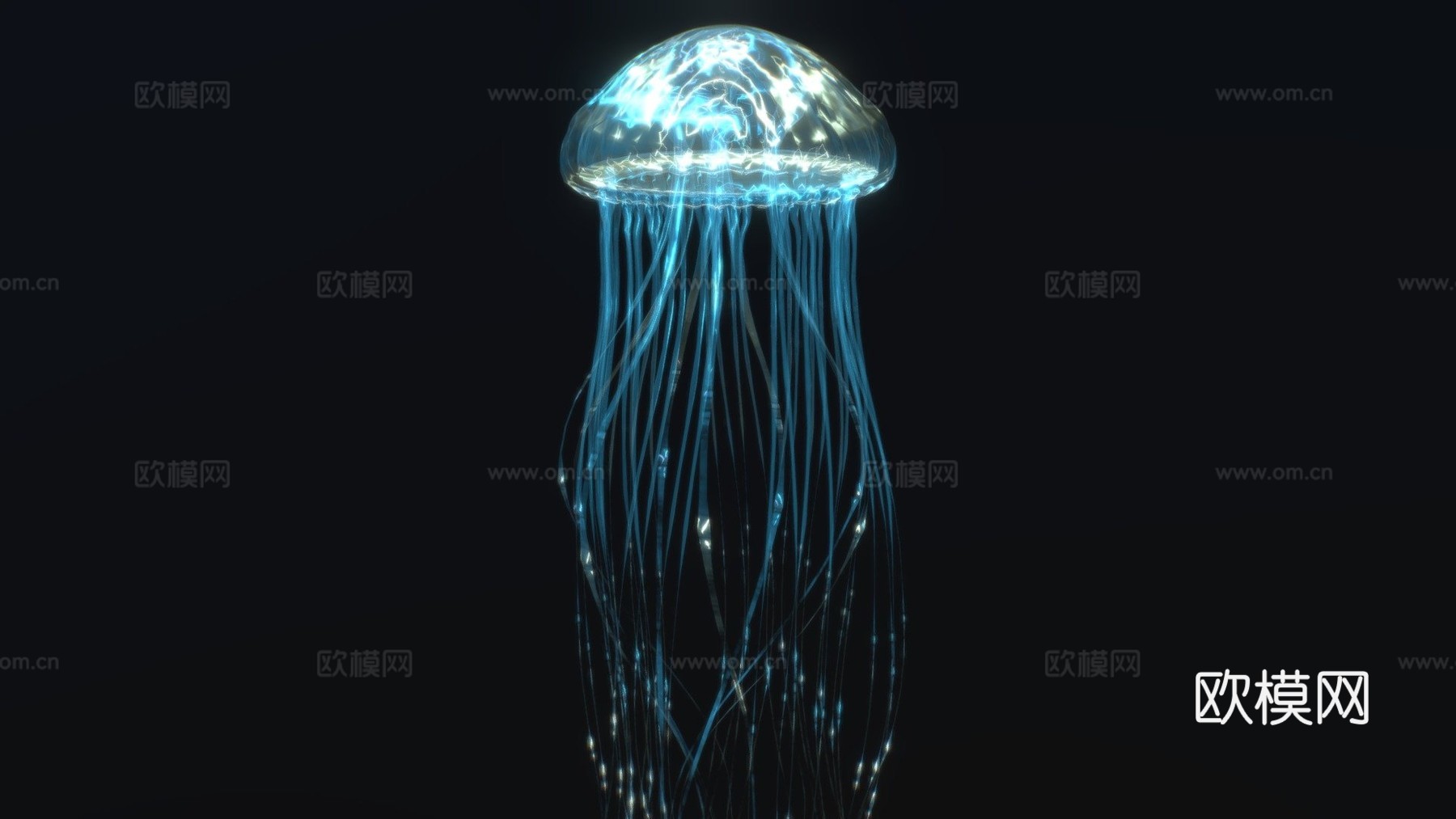 水母3d模型