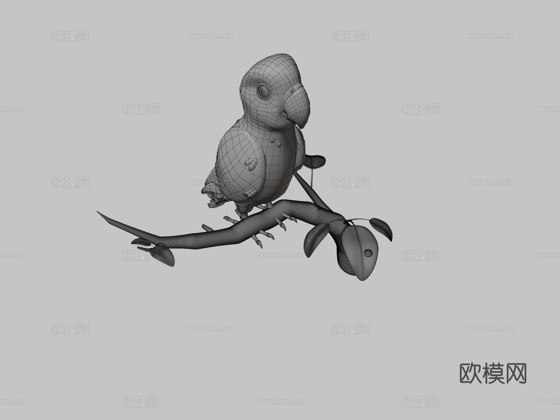 鸟类3d模型