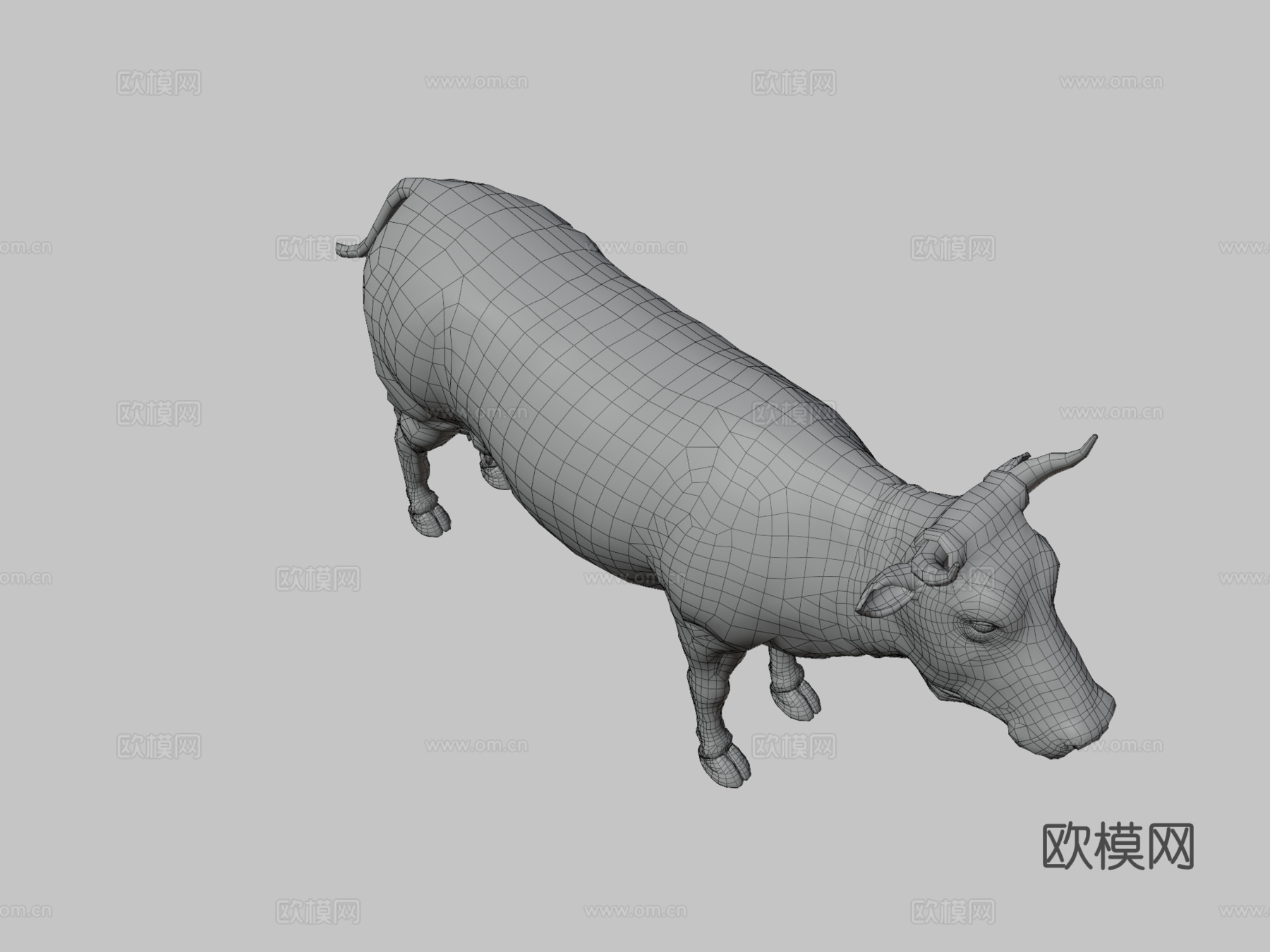 奶牛-公牛(实验室工作室)_13d模型