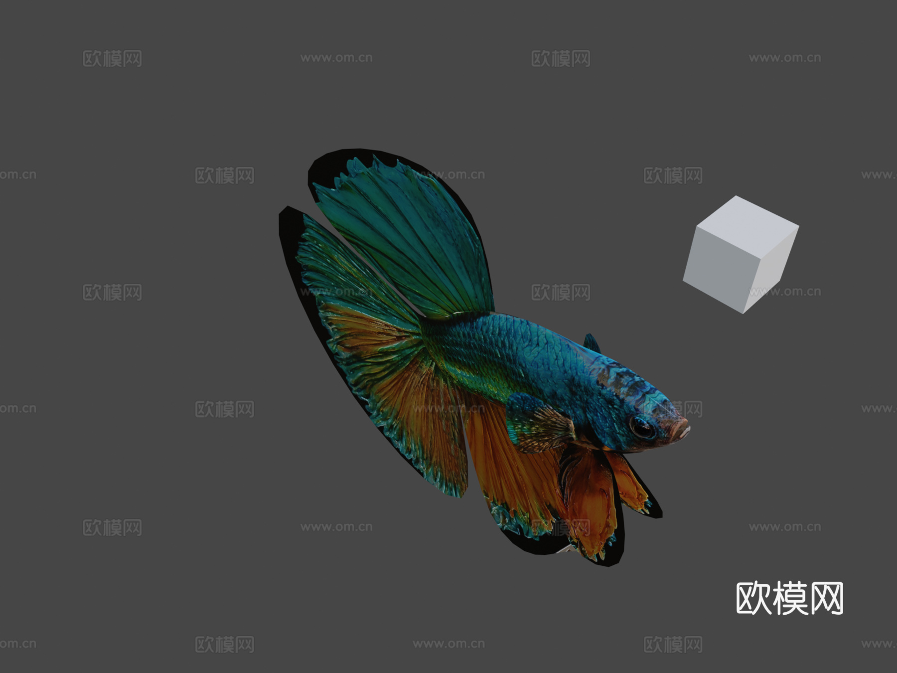 斗鱼3d模型