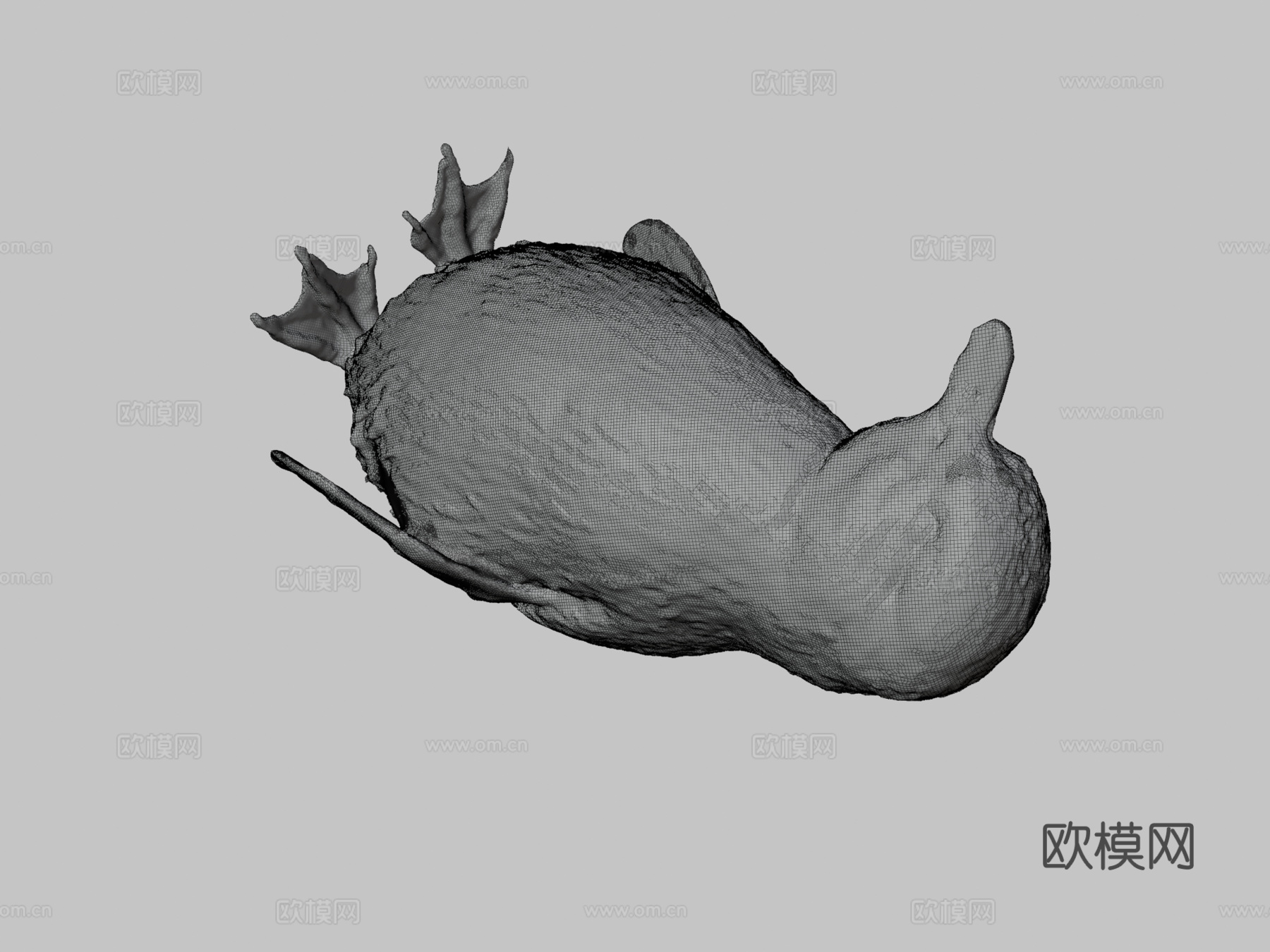 小蓝企鹅-科罗拉3d模型