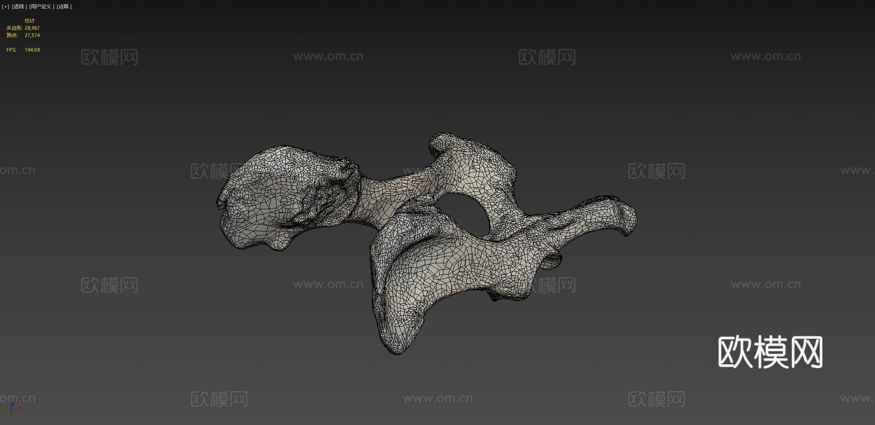 狗盆骨髋骨3d模型
