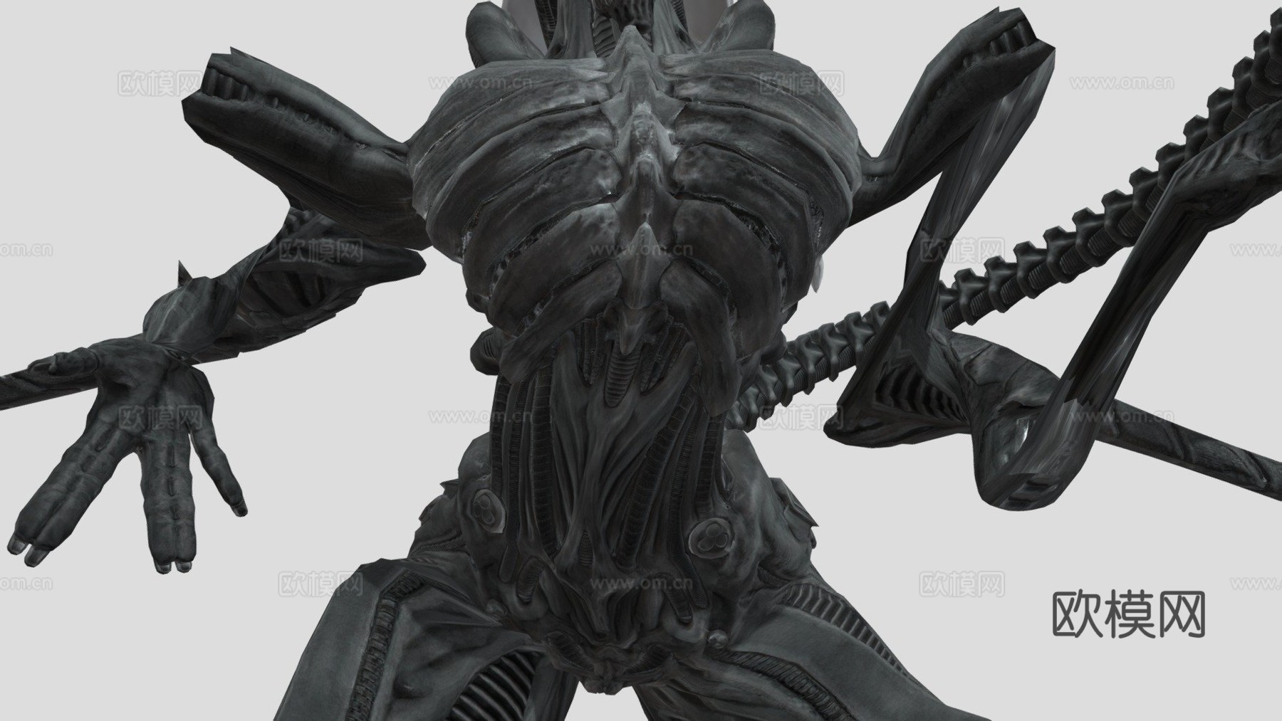 异形女外星人[NSFW]3d模型
