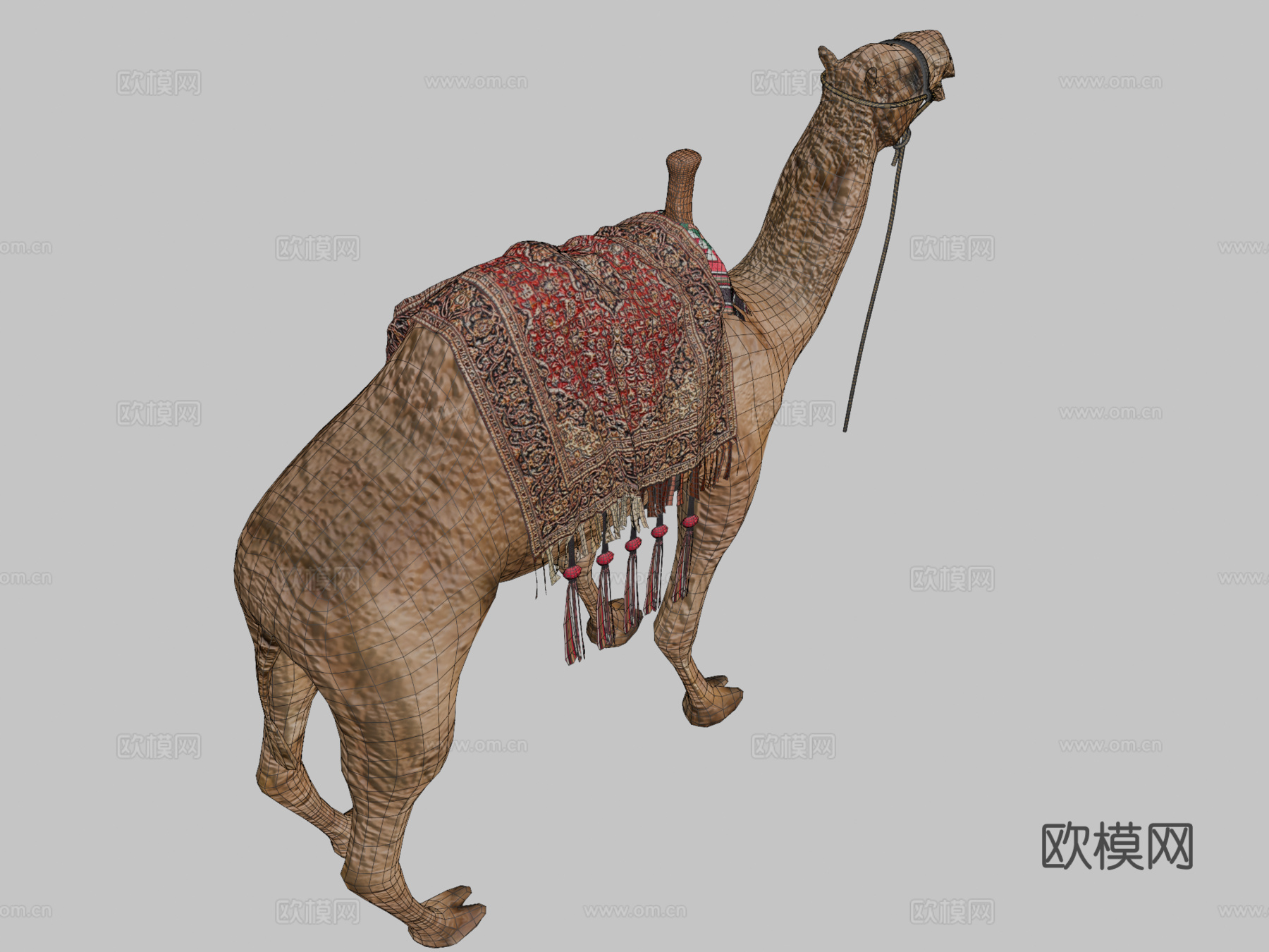 骆驼3d模型