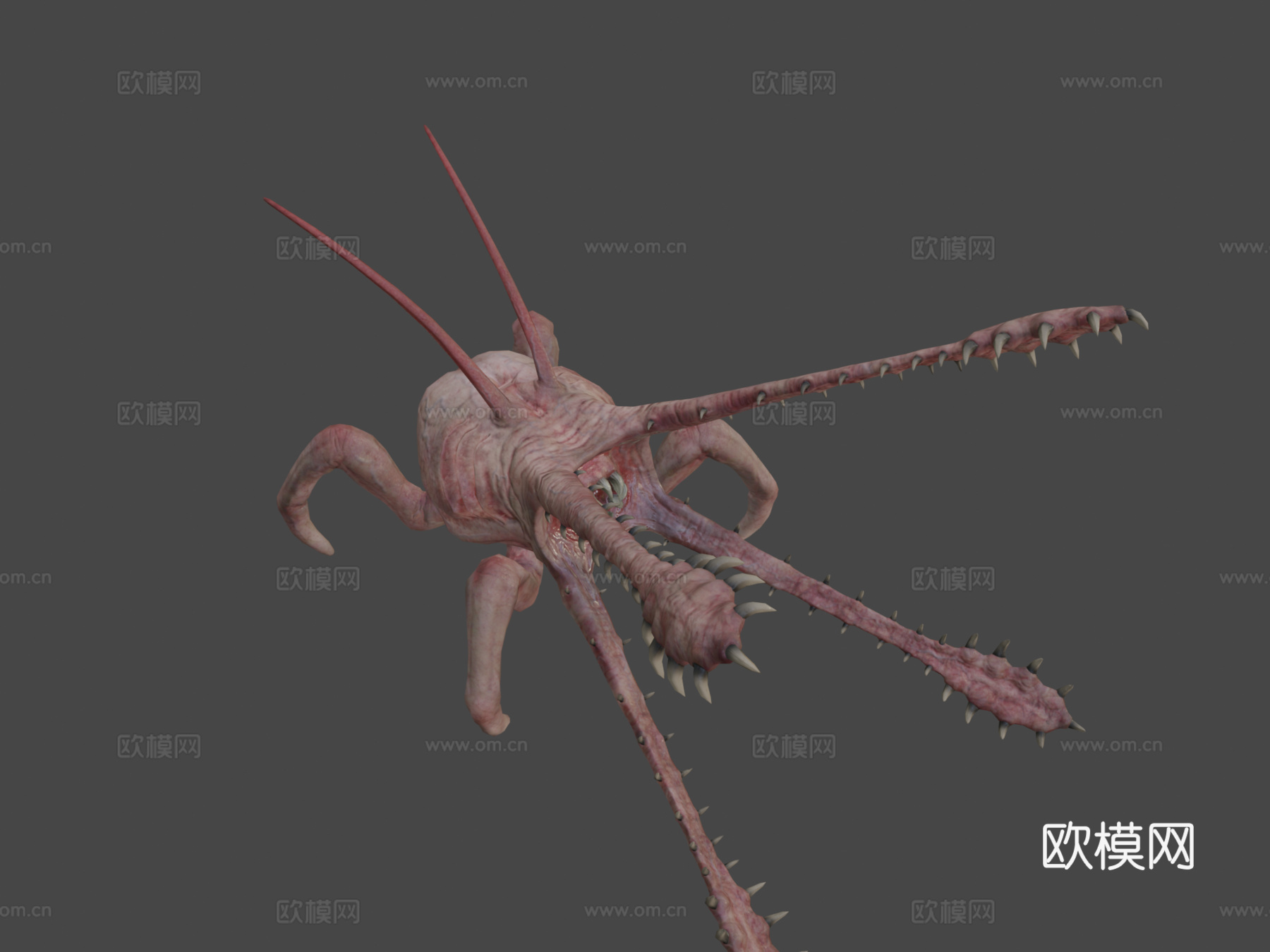 变形动画3d模型