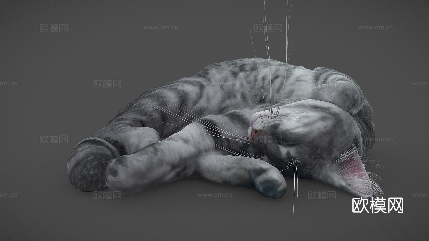 睡猫3d模型