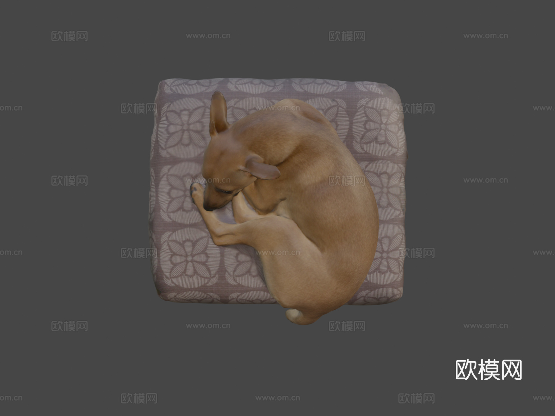 露西狗彩色3D扫描3d模型