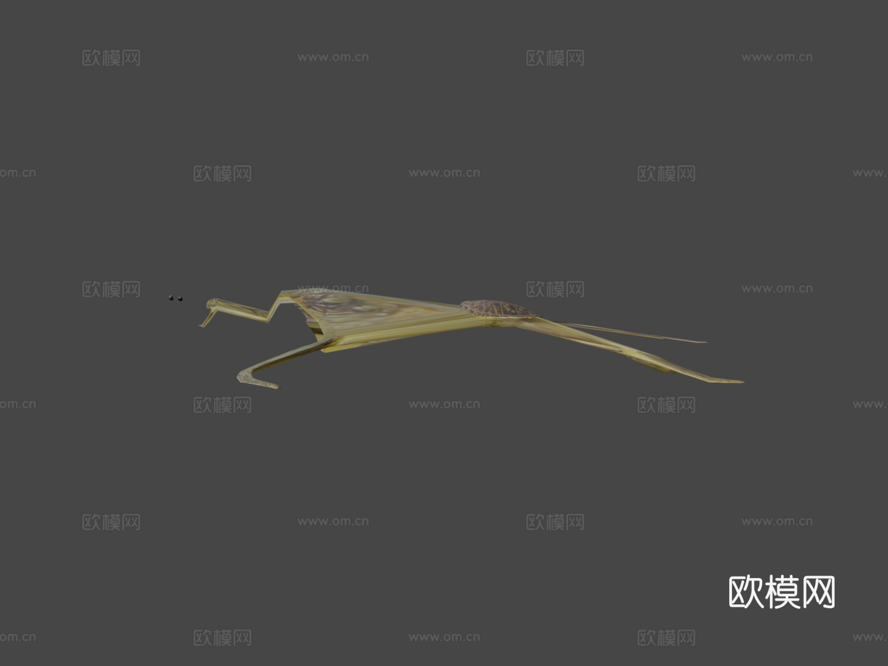 A模型-亚成年绿海龟3d模型