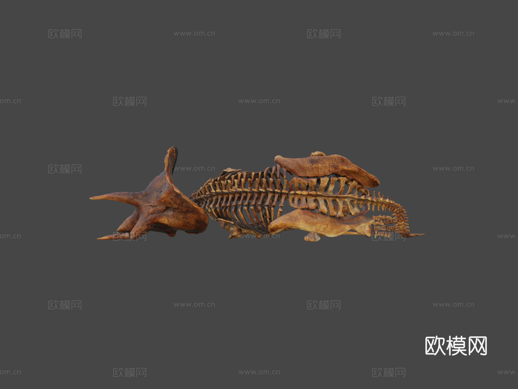 三角龙恐怖沼泽种3d模型